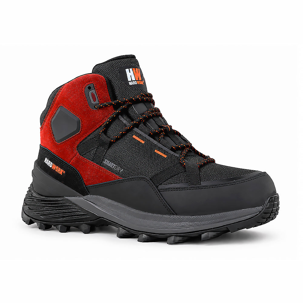 BOTIN HW PEGASO